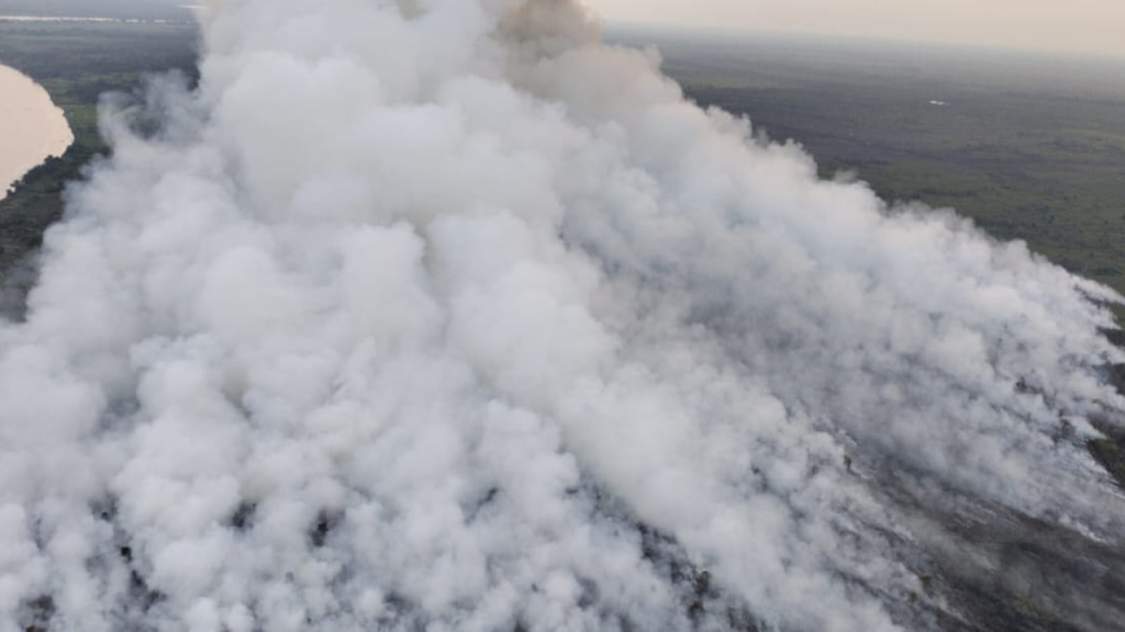 Kebakaran Lahan di Muaro Jambi: Asap Tebal Selimuti Kuala Tungkal dan Beberapa daerah lainnya