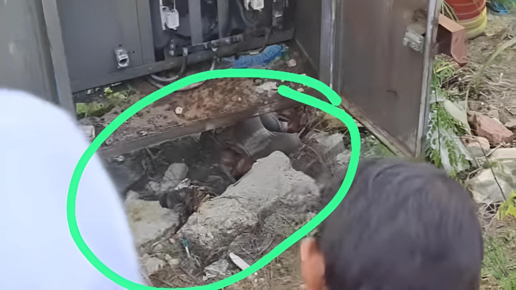 Heboh Penemuan Mayat Anak 4 Tahun di Bawah Gardu Listrik, Hilang Seminggu Sebelum Ditemukan