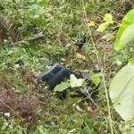 Mobil Double Cabin Masuk Jurang Sungai di Kerinci, Dua Penumpang Hilang